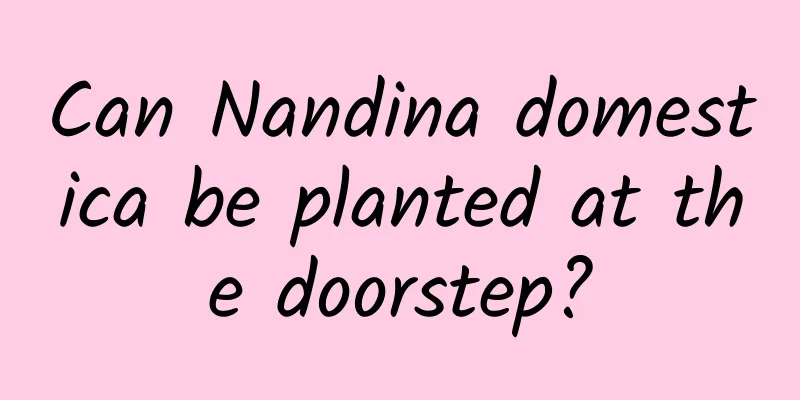Can Nandina domestica be planted at the doorstep?