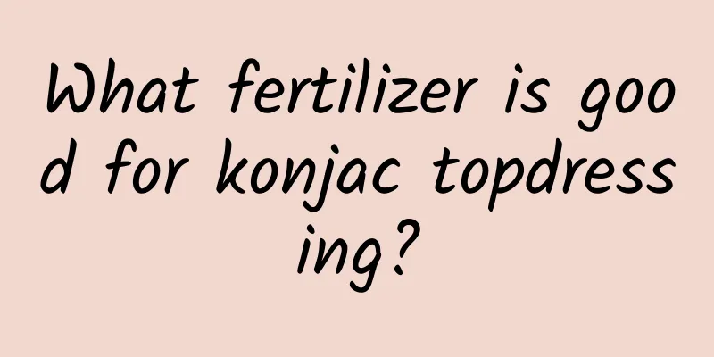 What fertilizer is good for konjac topdressing?