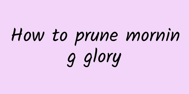 How to prune morning glory