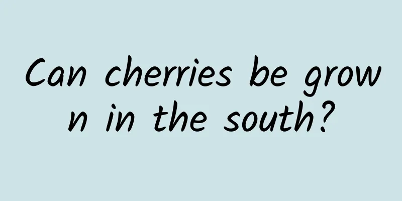Can cherries be grown in the south?