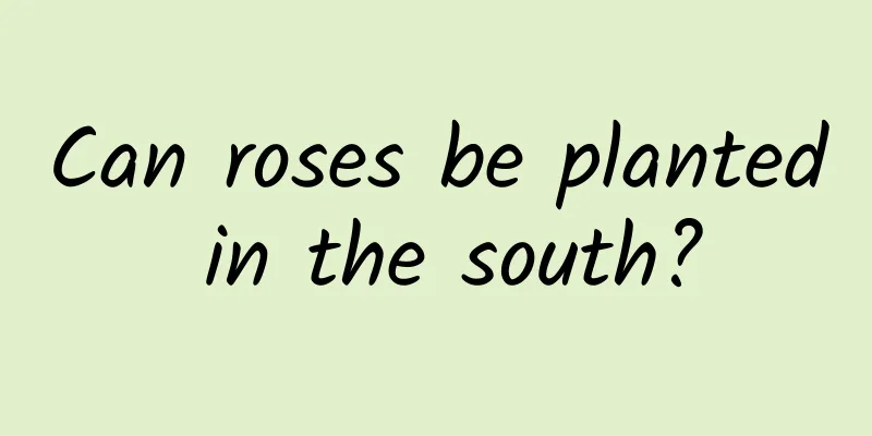 Can roses be planted in the south?
