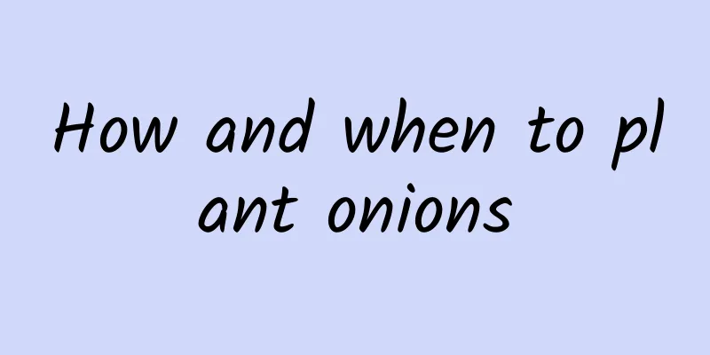 How and when to plant onions