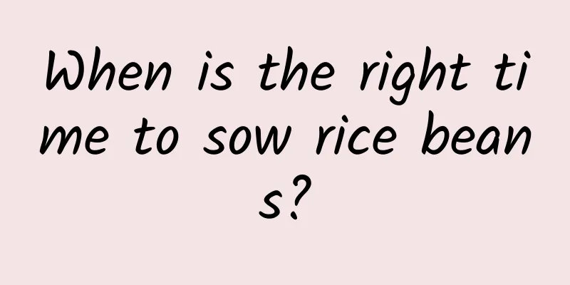 When is the right time to sow rice beans?