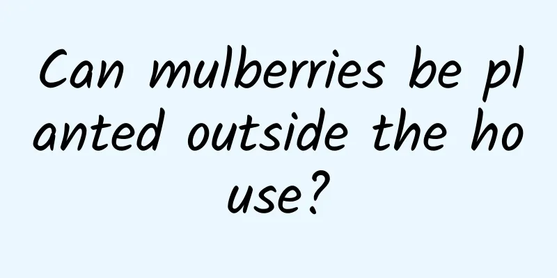Can mulberries be planted outside the house?