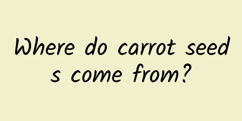 Where do carrot seeds come from?