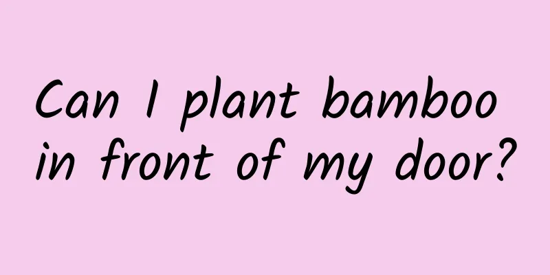 Can I plant bamboo in front of my door?