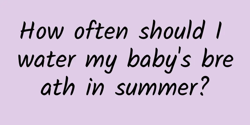 How often should I water my baby's breath in summer?