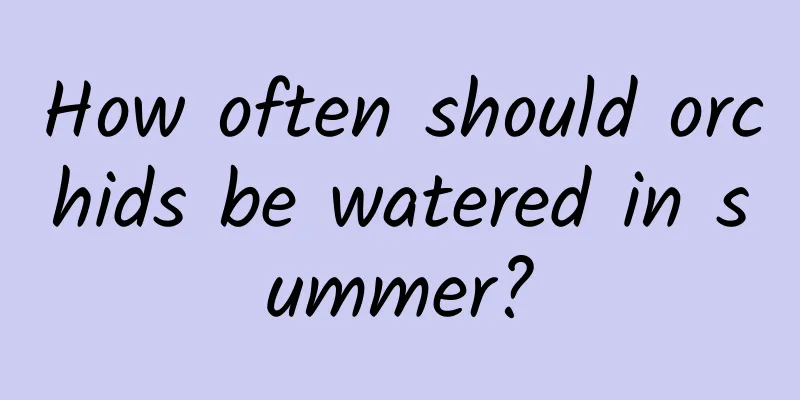 How often should orchids be watered in summer?