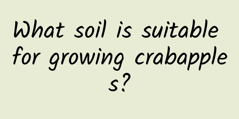What soil is suitable for growing crabapples?