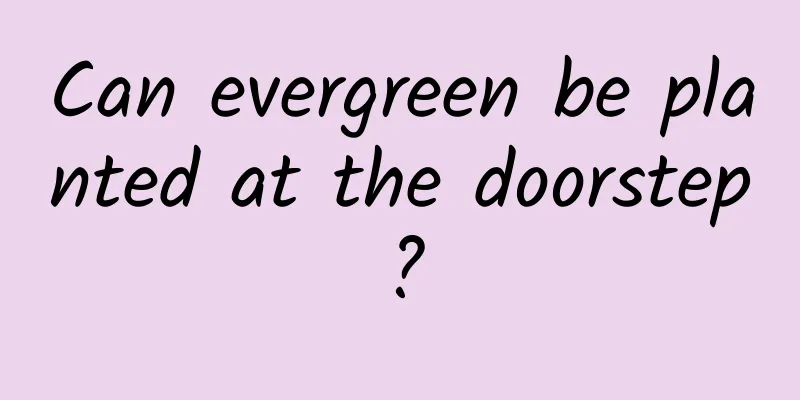 Can evergreen be planted at the doorstep?