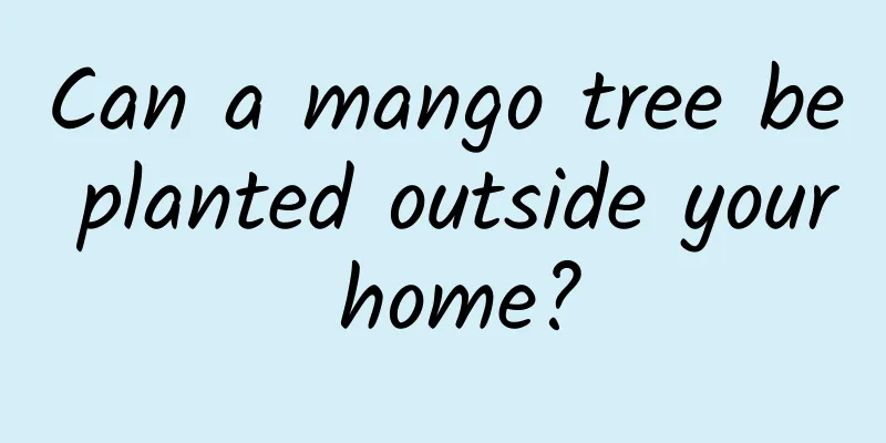 Can a mango tree be planted outside your home?
