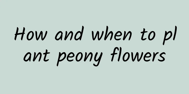 How and when to plant peony flowers