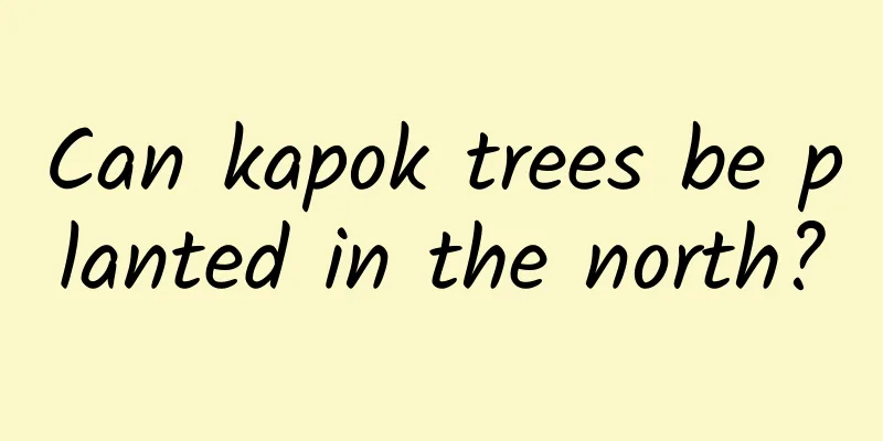 Can kapok trees be planted in the north?