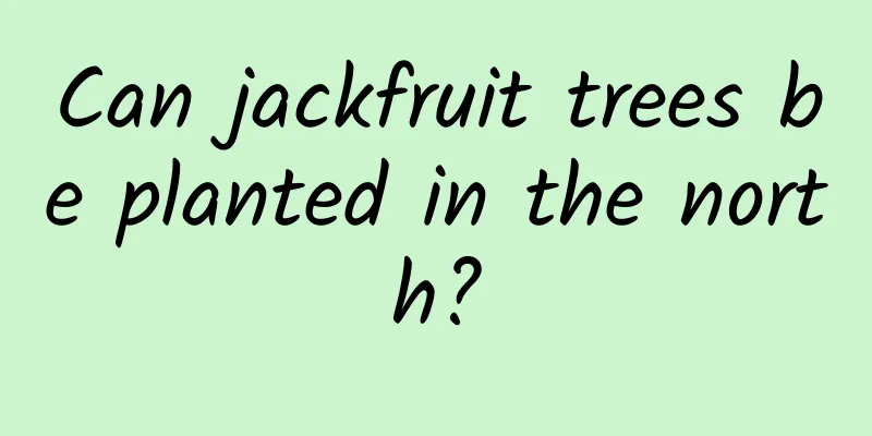 Can jackfruit trees be planted in the north?