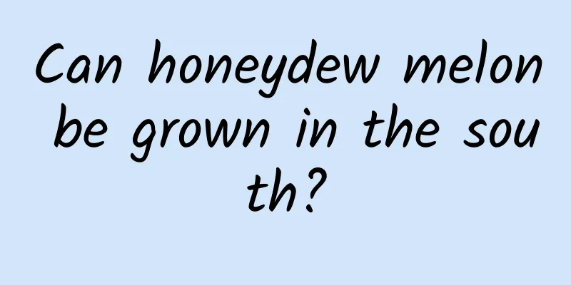 Can honeydew melon be grown in the south?