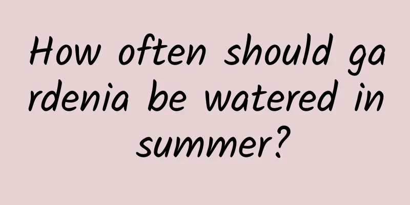 How often should gardenia be watered in summer?