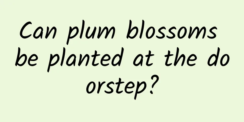 Can plum blossoms be planted at the doorstep?