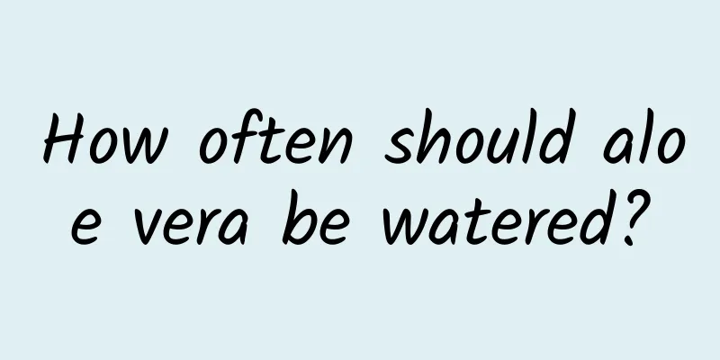 How often should aloe vera be watered?
