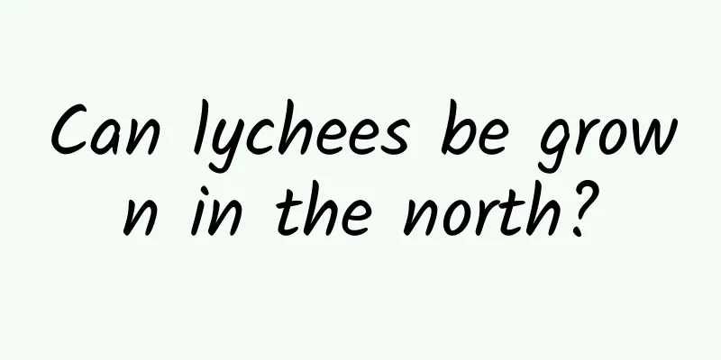Can lychees be grown in the north?