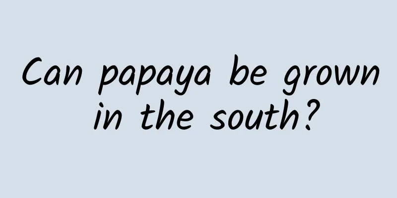 Can papaya be grown in the south?