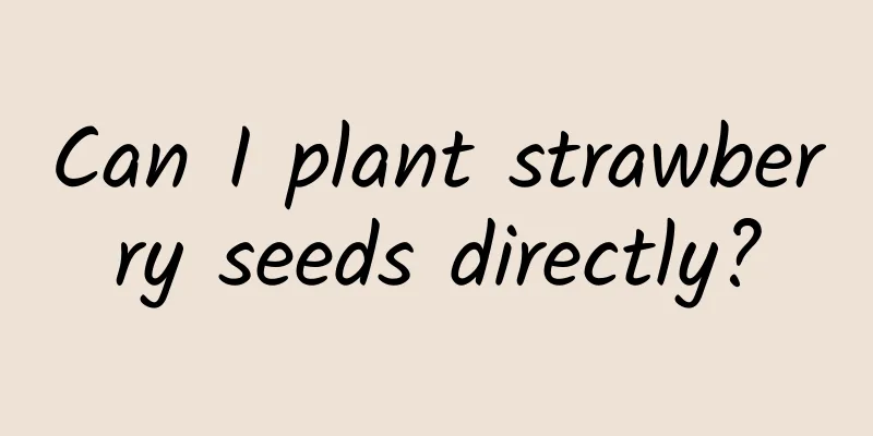 Can I plant strawberry seeds directly?