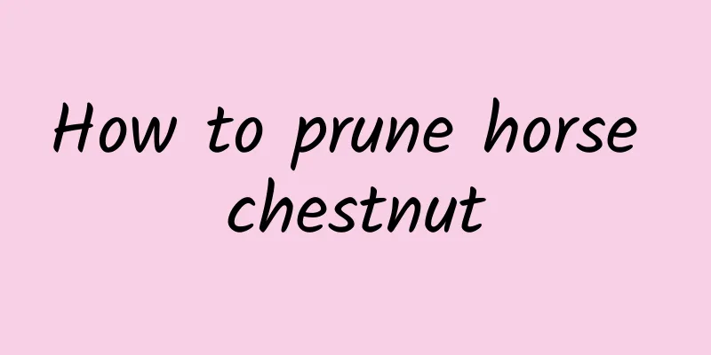 How to prune horse chestnut