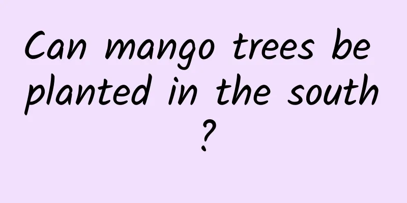 Can mango trees be planted in the south?