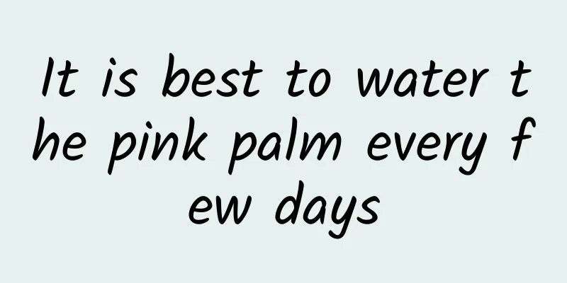 It is best to water the pink palm every few days
