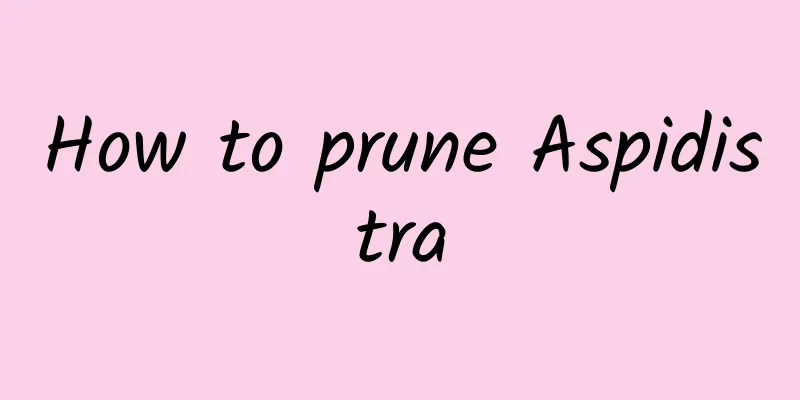 How to prune Aspidistra