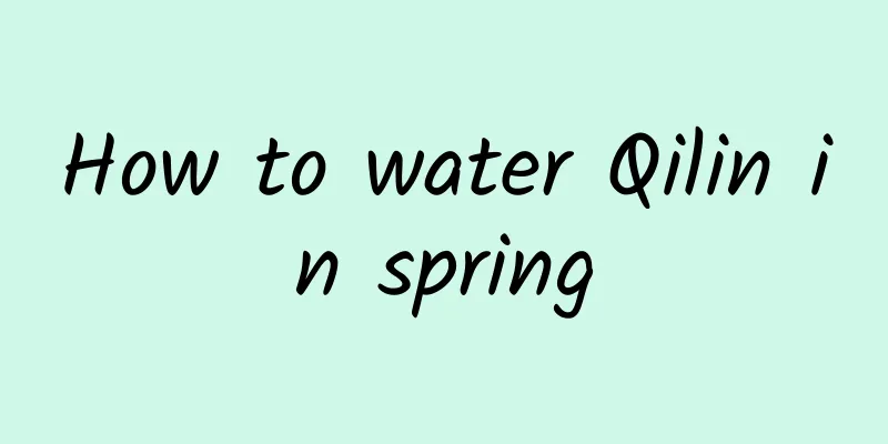 How to water Qilin in spring