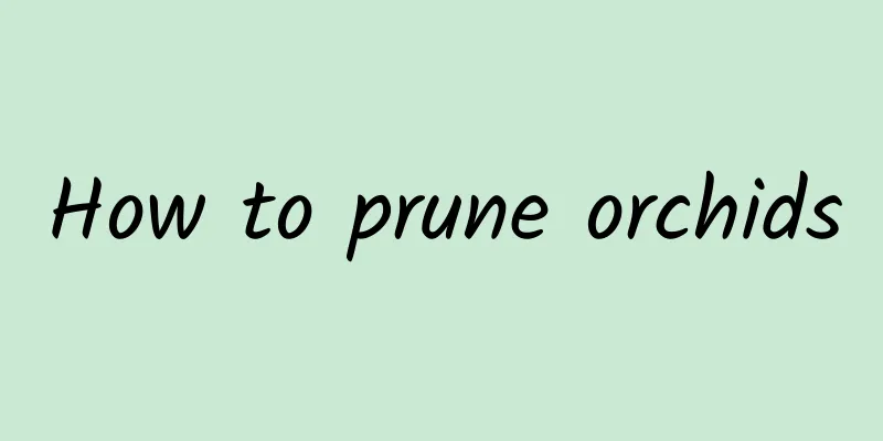 How to prune orchids