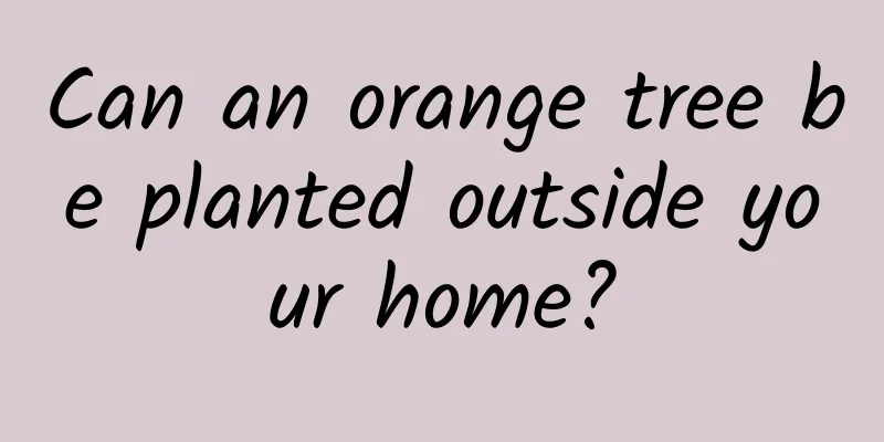 Can an orange tree be planted outside your home?