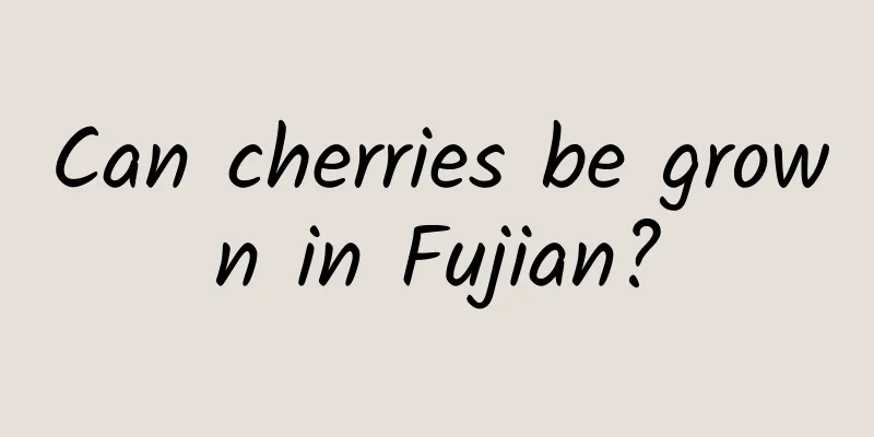 Can cherries be grown in Fujian?