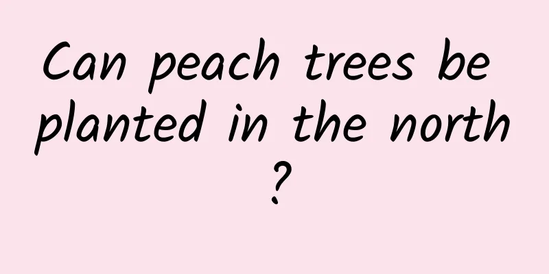 Can peach trees be planted in the north?