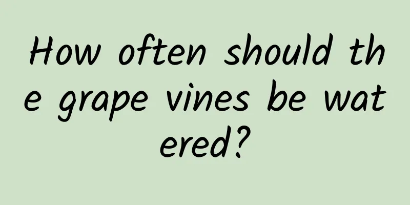 How often should the grape vines be watered?