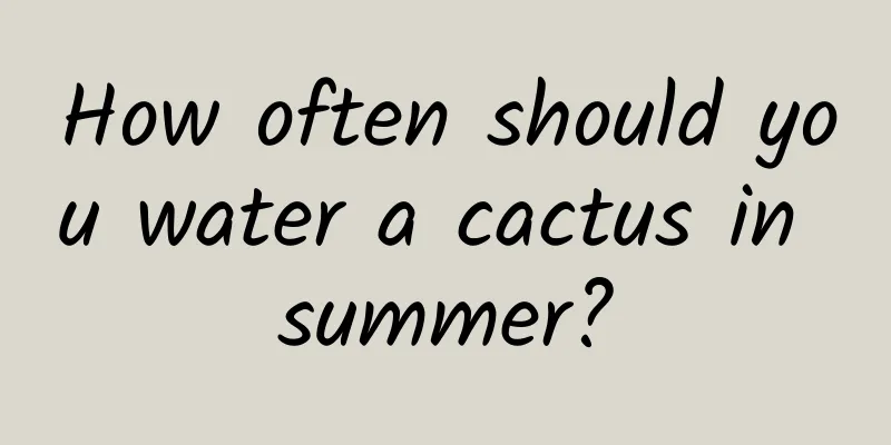 How often should you water a cactus in summer?