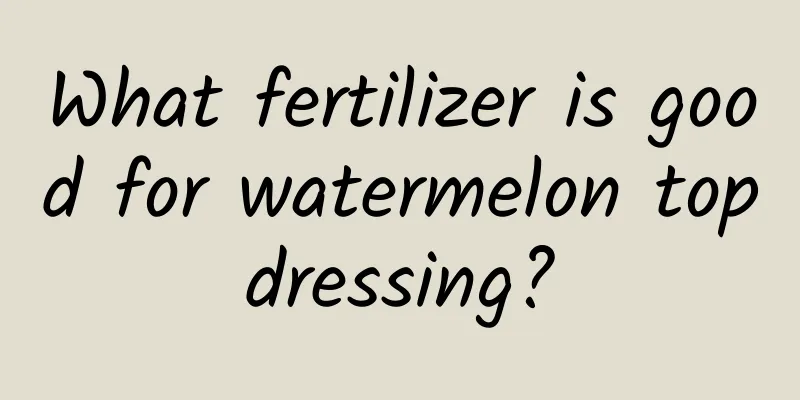 What fertilizer is good for watermelon topdressing?
