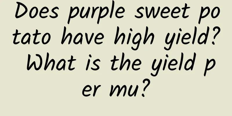 Does purple sweet potato have high yield? What is the yield per mu?
