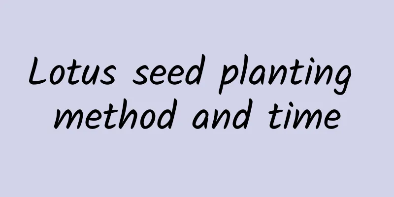 Lotus seed planting method and time