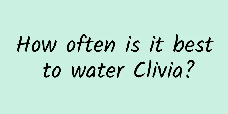 How often is it best to water Clivia?