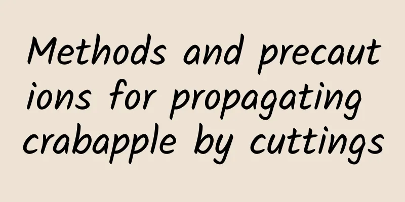 Methods and precautions for propagating crabapple by cuttings