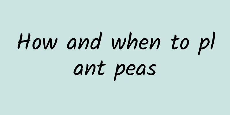 How and when to plant peas