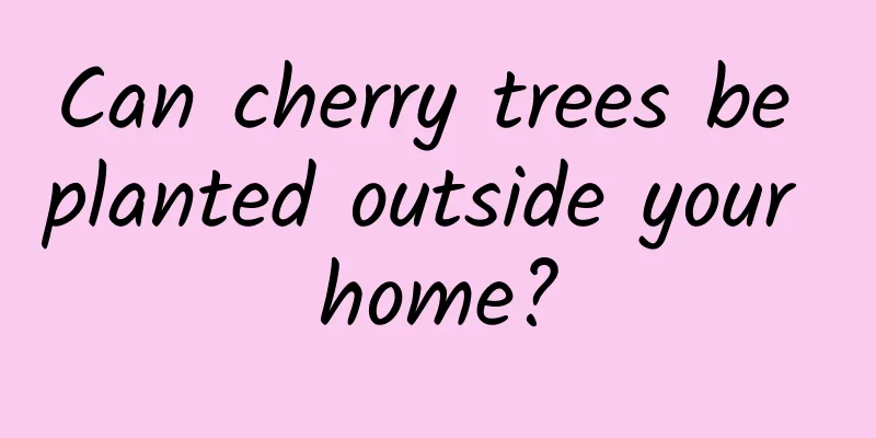 Can cherry trees be planted outside your home?