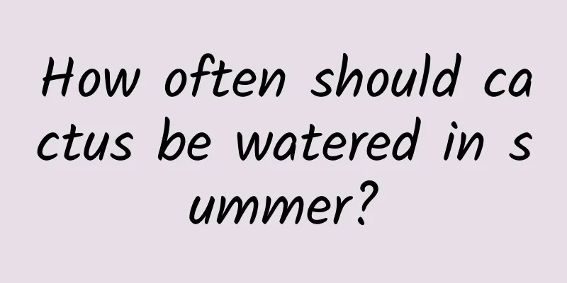 How often should cactus be watered in summer?