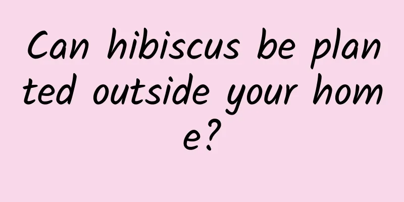 Can hibiscus be planted outside your home?