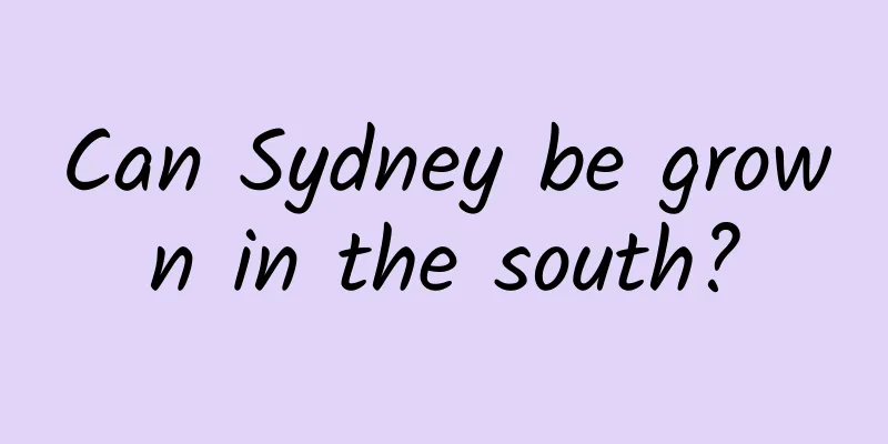 Can Sydney be grown in the south?