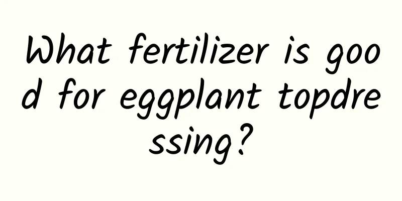 What fertilizer is good for eggplant topdressing?