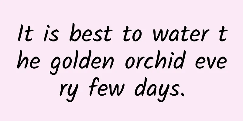 It is best to water the golden orchid every few days.