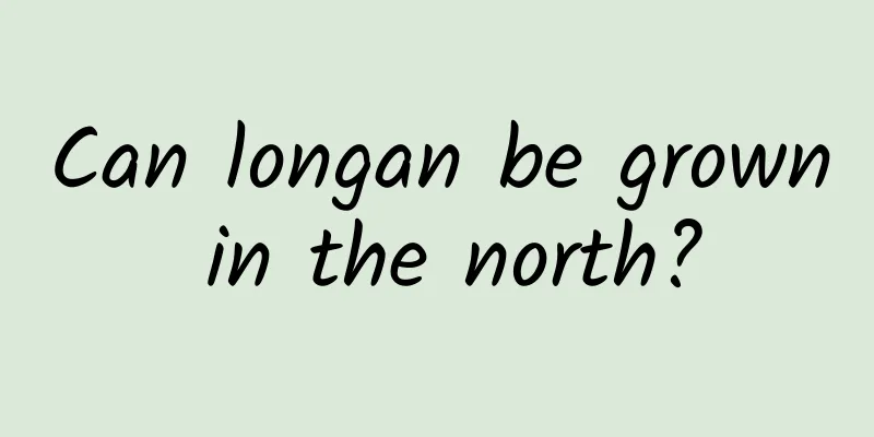 Can longan be grown in the north?