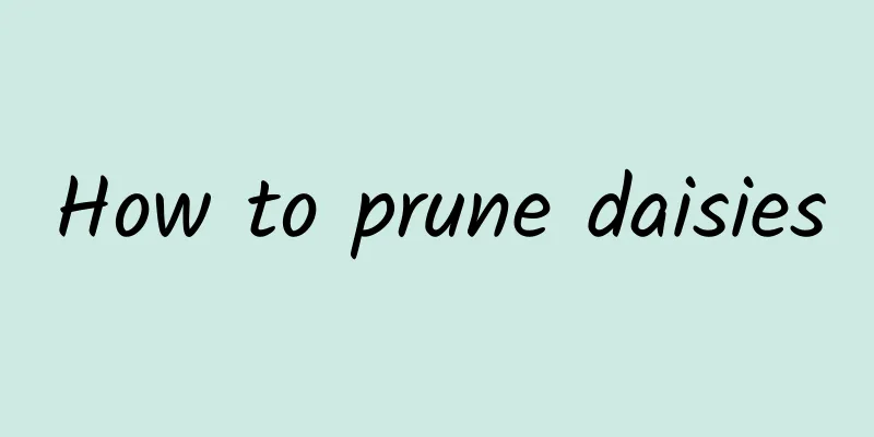 How to prune daisies